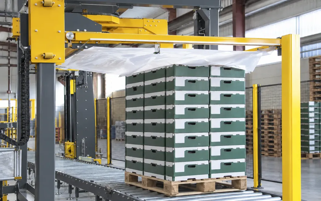 Top sheet film laid over a pallet of cartons on an automated line